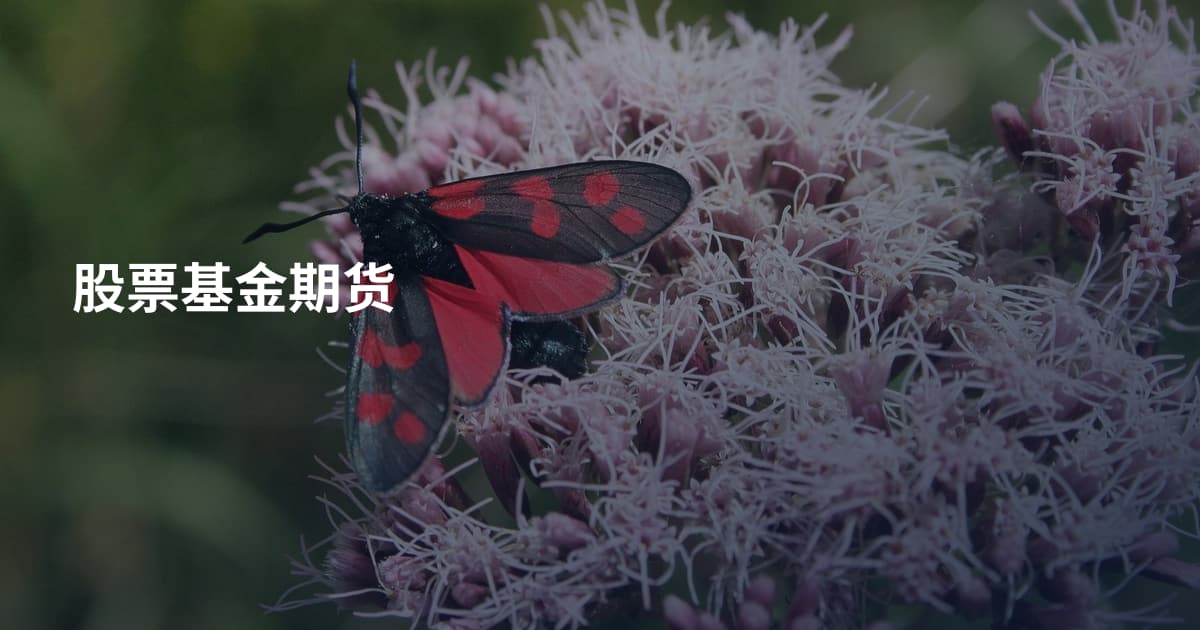 股票基金期货
