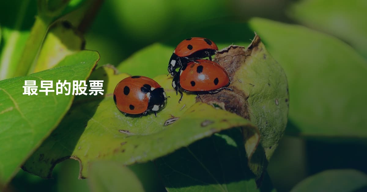 最早的股票
