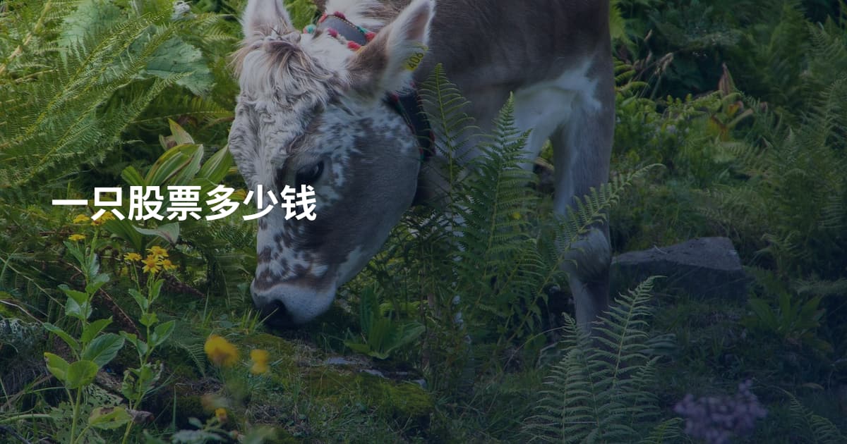 一只股票多少钱