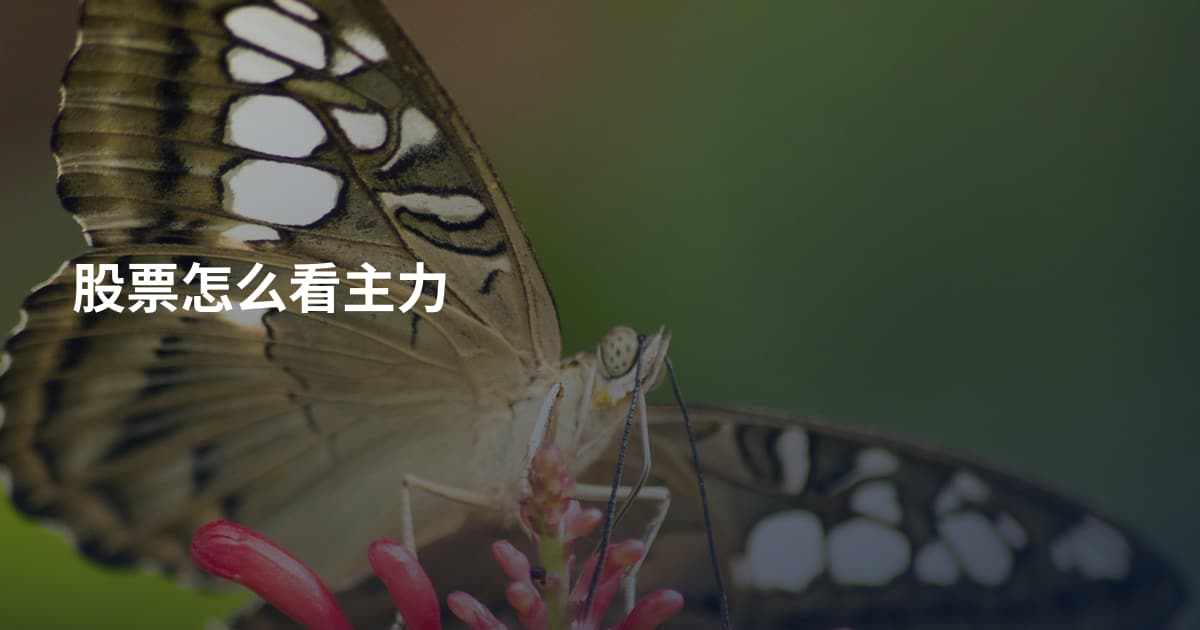 股票怎么看主力