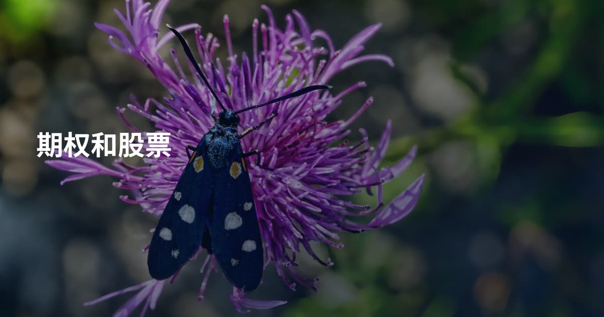 期权和股票
