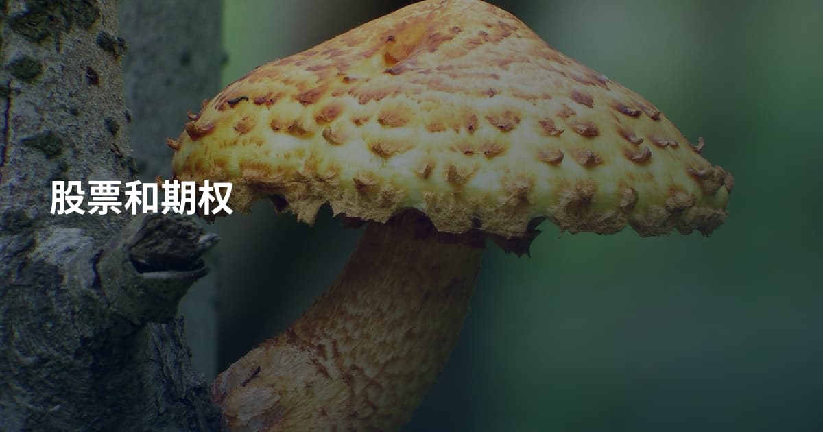 股票和期权