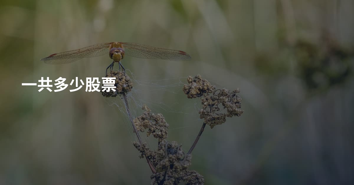 一共多少股票