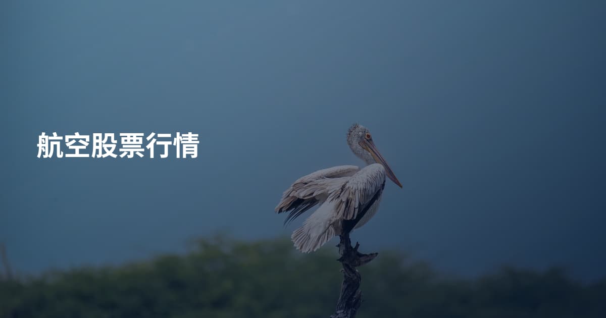 航空股票行情