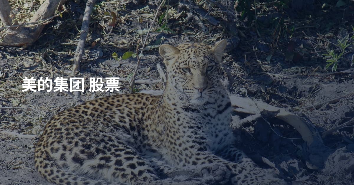 美的集团 股票