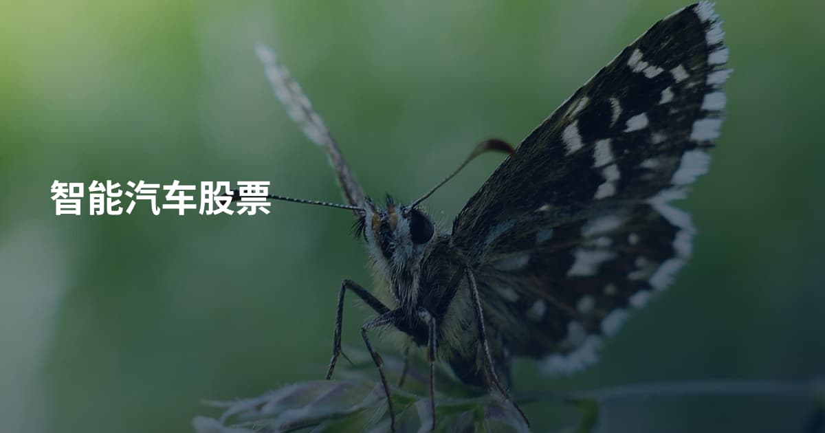 智能汽车股票