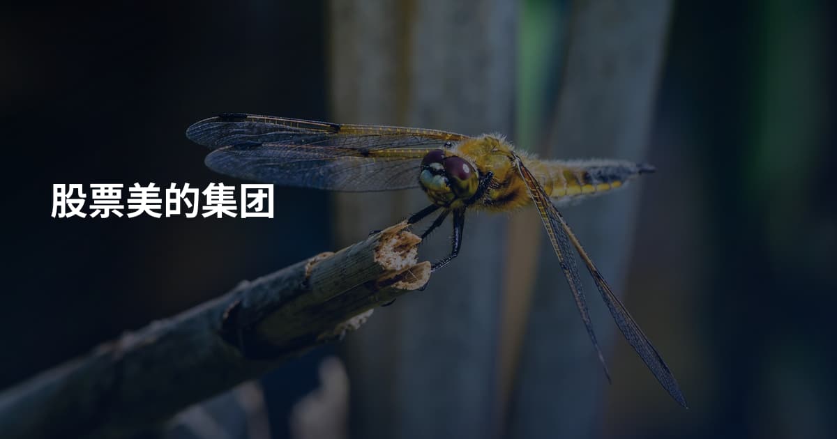 股票美的集团