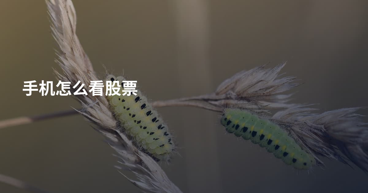 手机怎么看股票