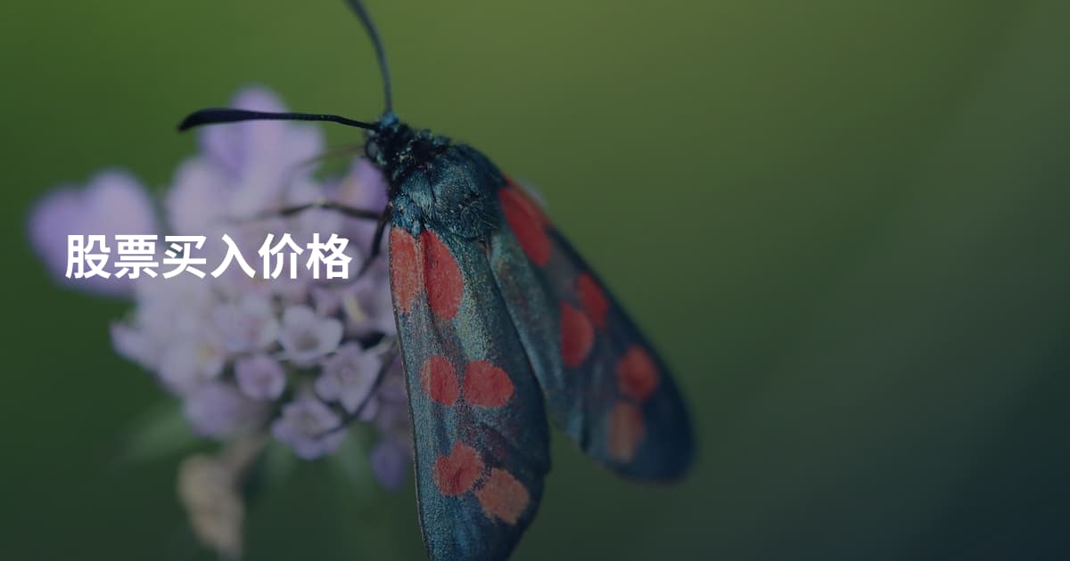 股票买入价格