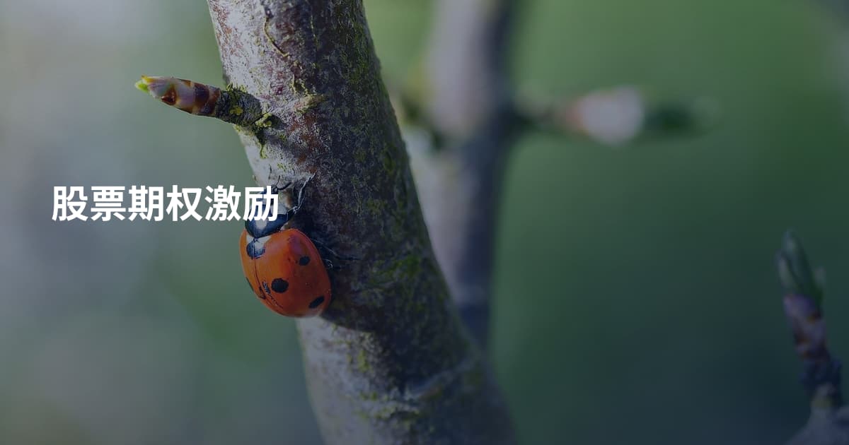 股票期权激励
