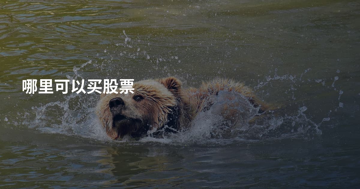哪里可以买股票
