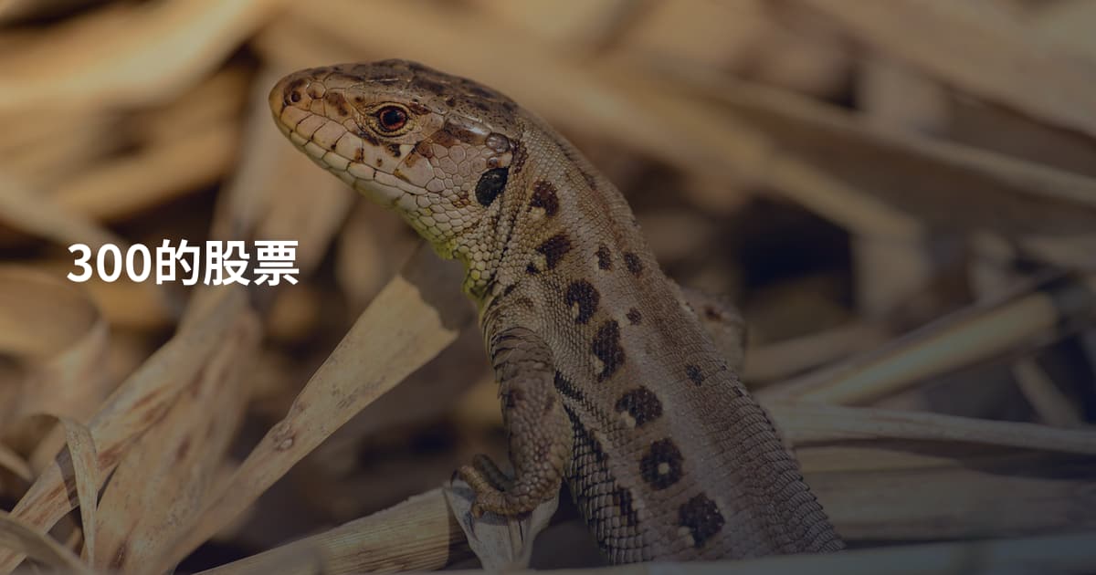300的股票