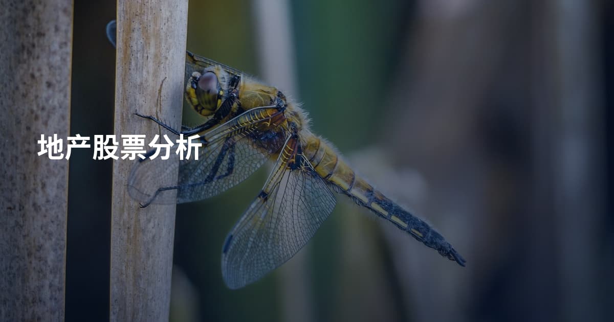 地产股票分析