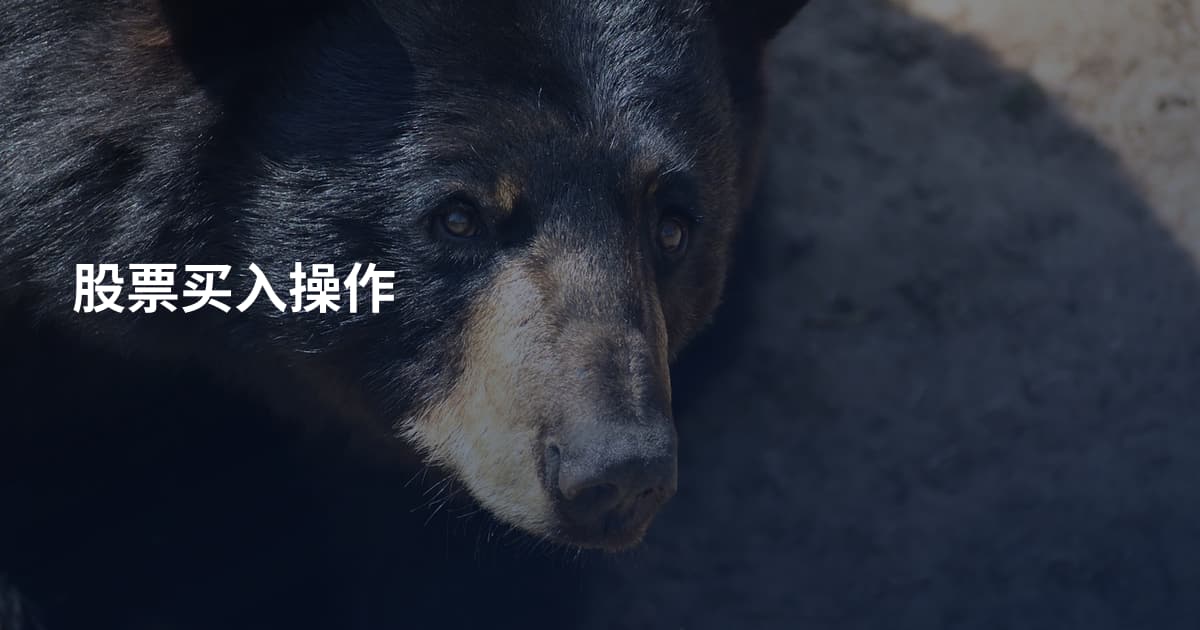 股票买入操作