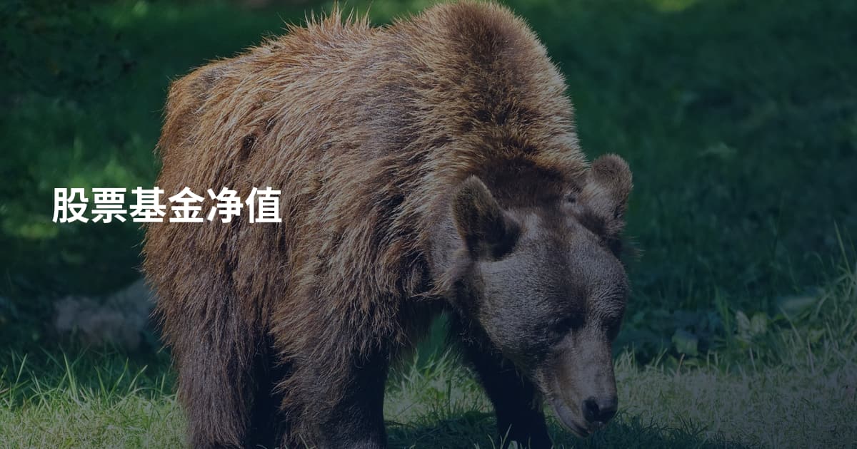 股票基金净值