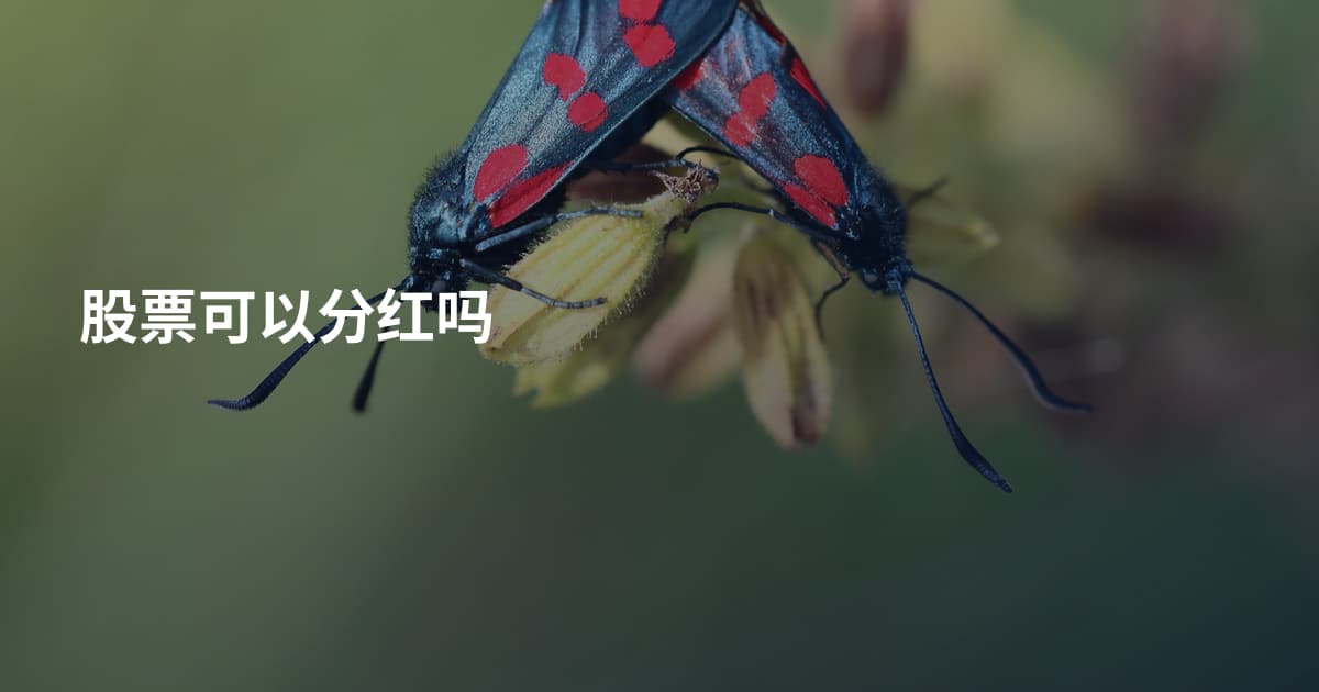 股票可以分红吗