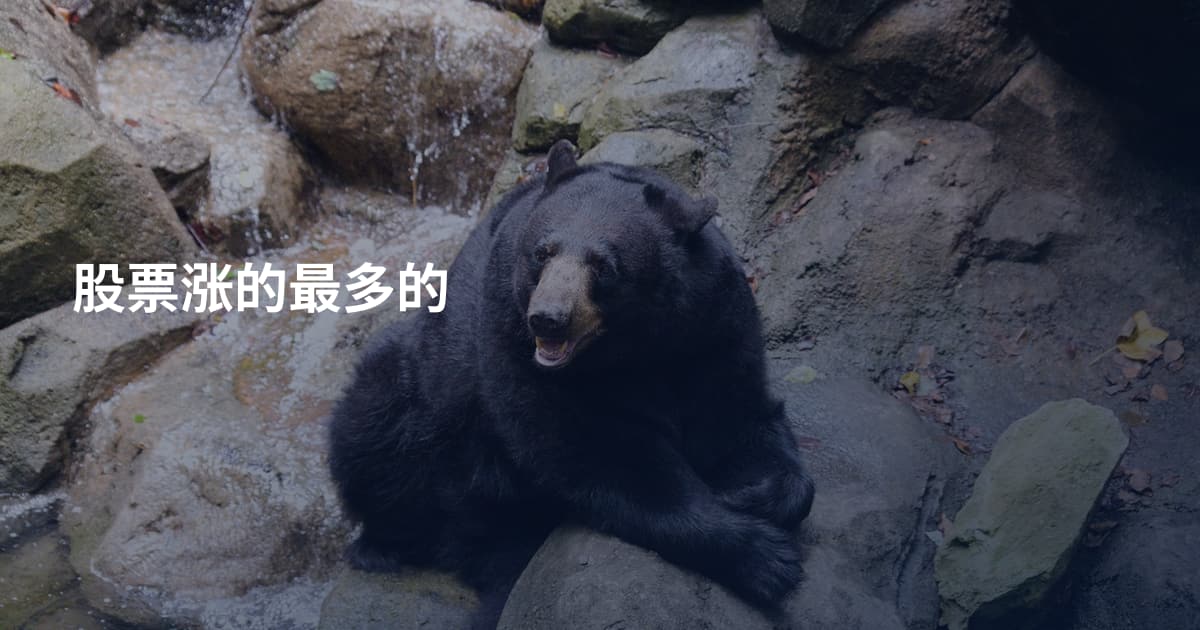 股票涨的最多的