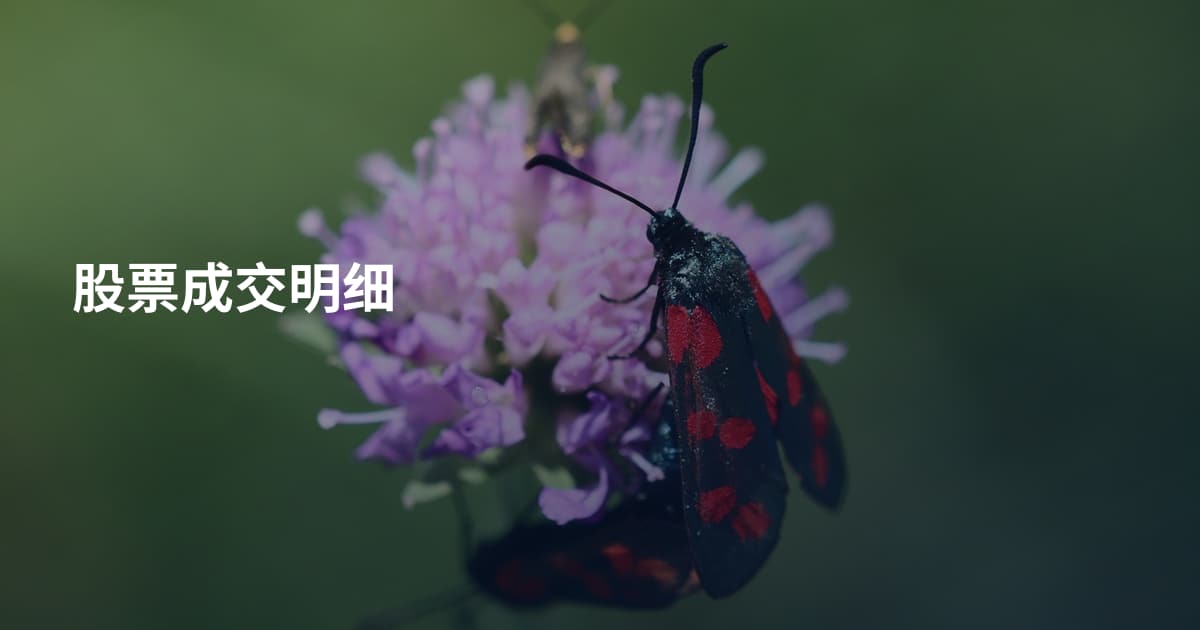 股票成交明细