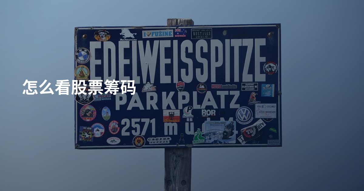 怎么看股票筹码