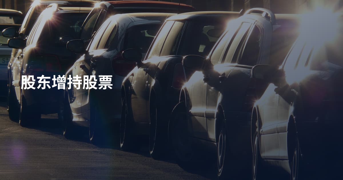 股东增持股票