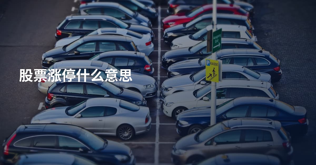股票涨停什么意思