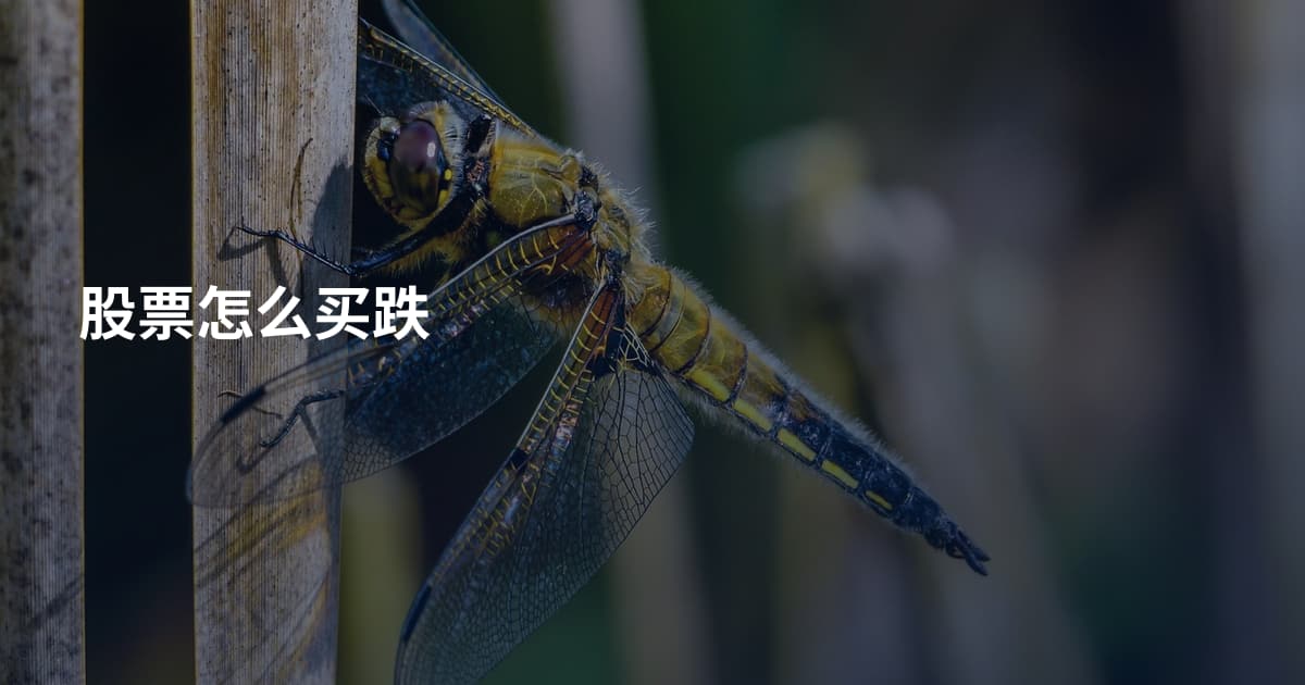 股票怎么买跌