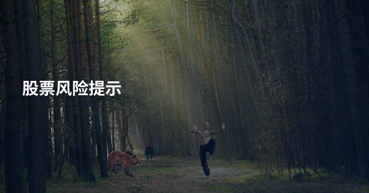 股票风险提示