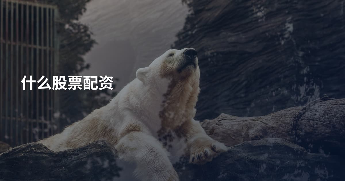 什么股票配资