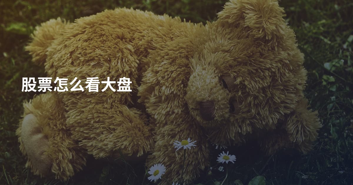 股票怎么看大盘