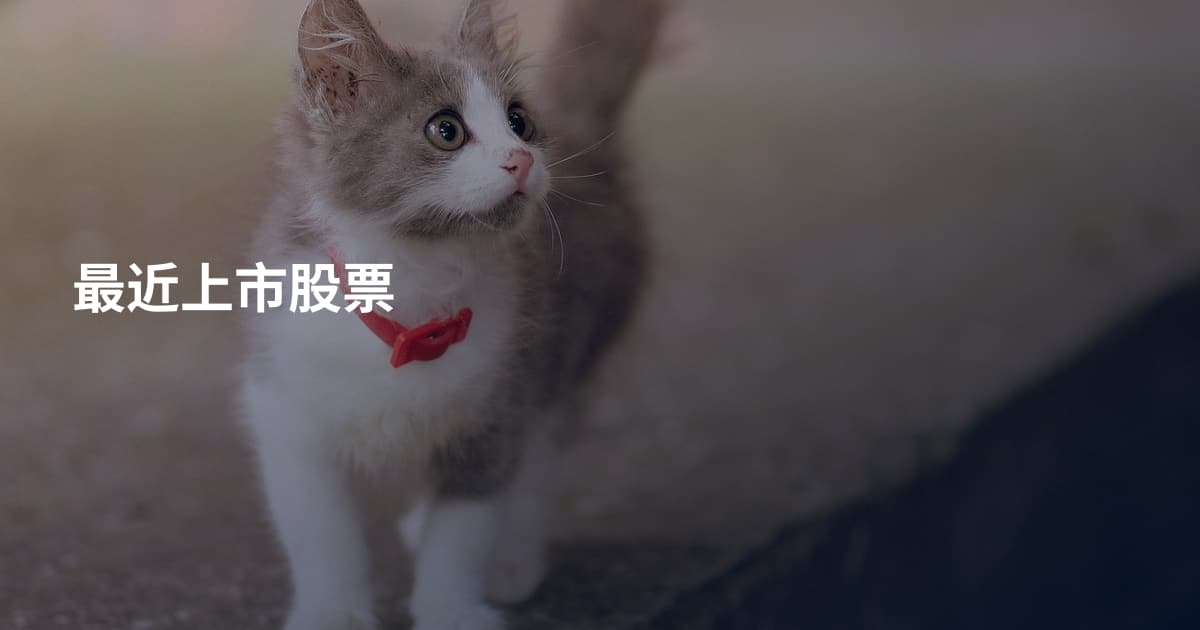 最近上市股票