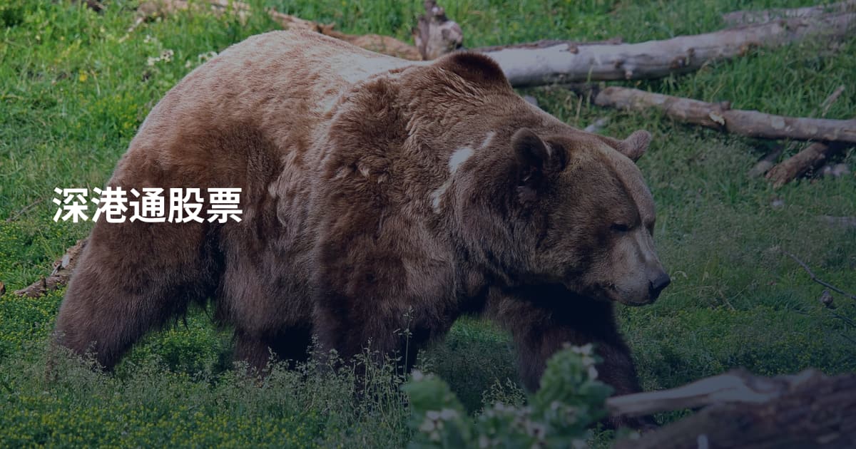 深港通股票