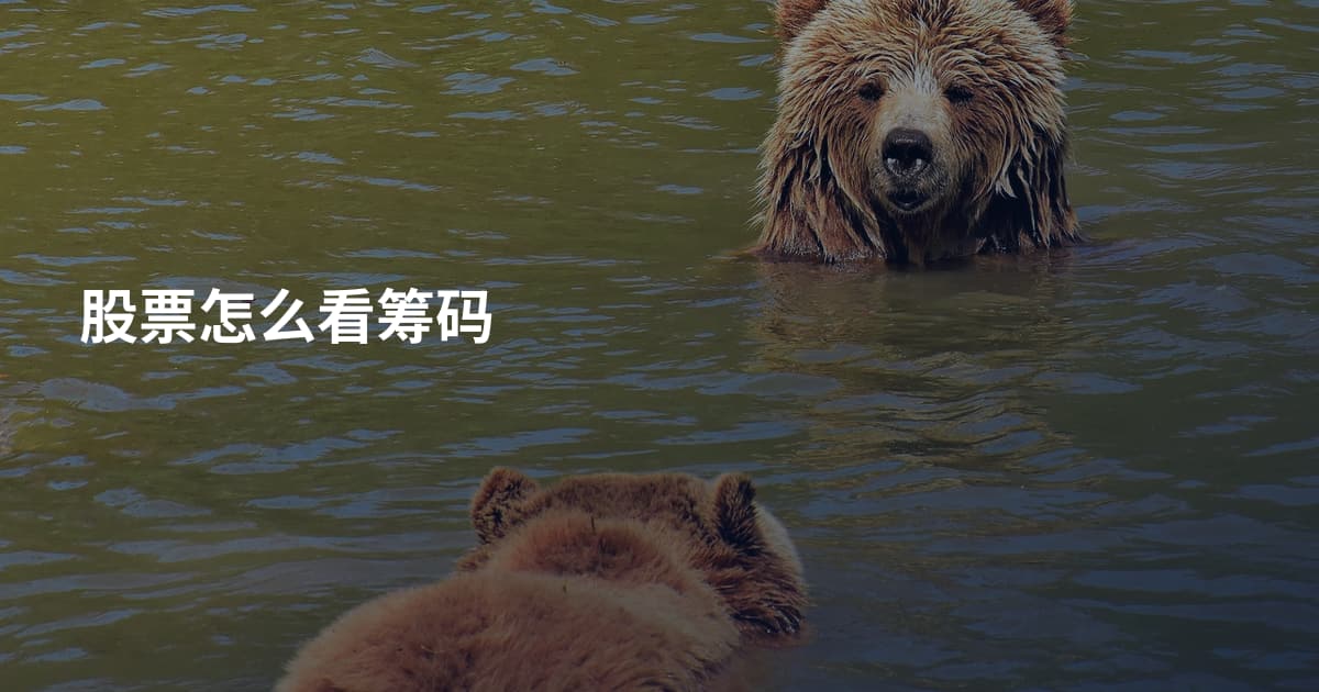 股票怎么看筹码