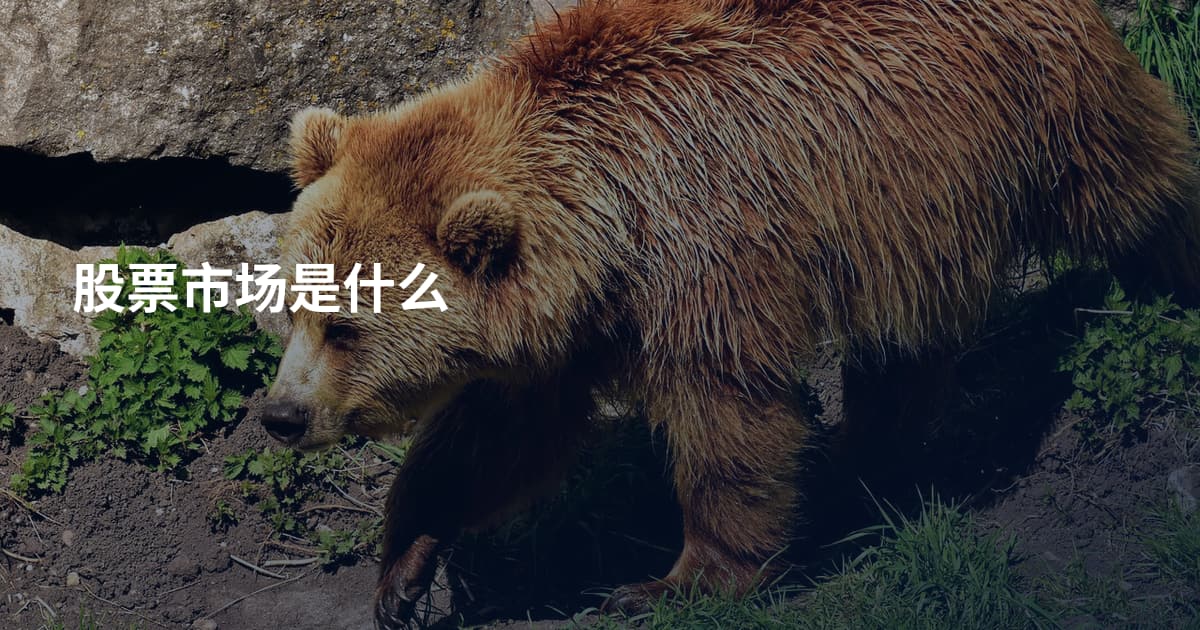 股票市场是什么