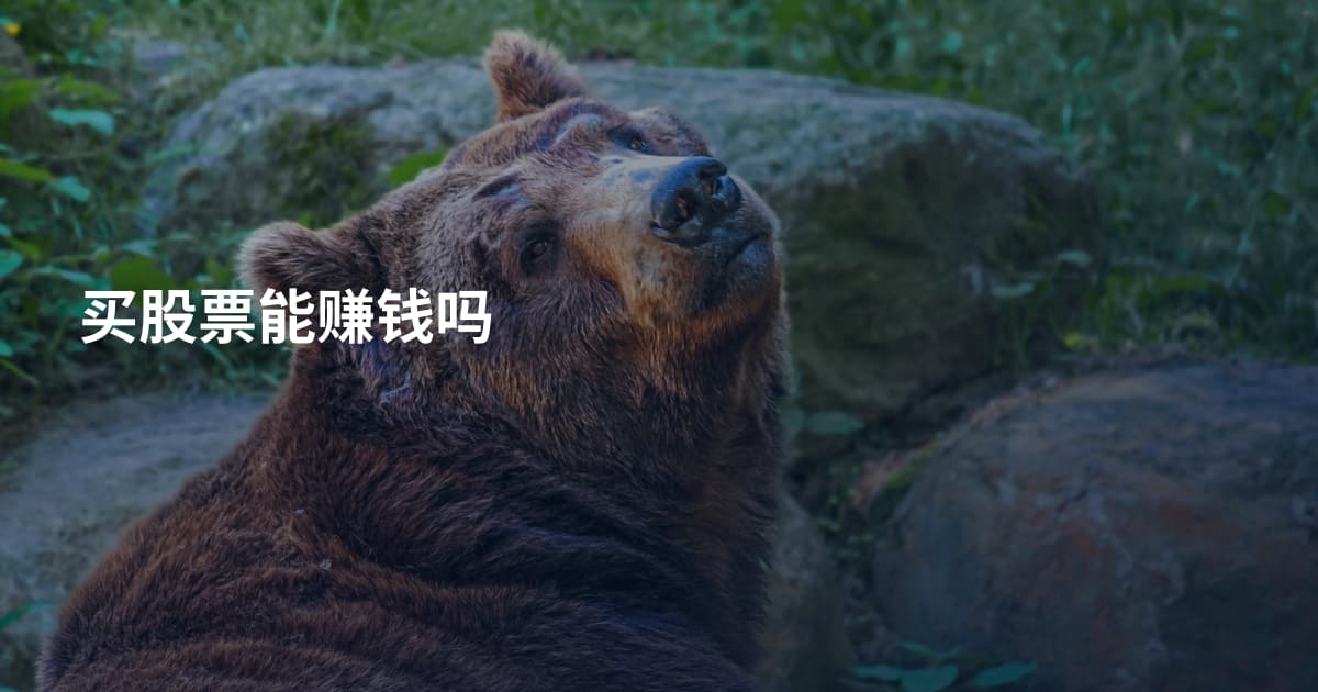 买股票能赚钱吗