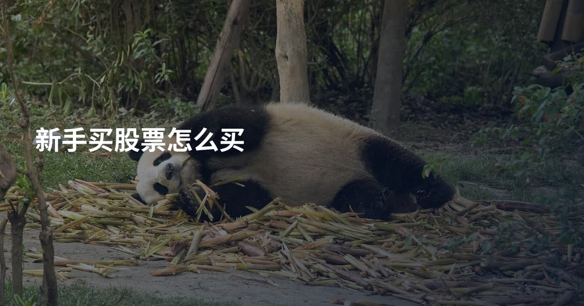 新手买股票怎么买