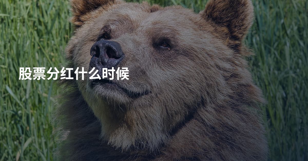 股票分红什么时候