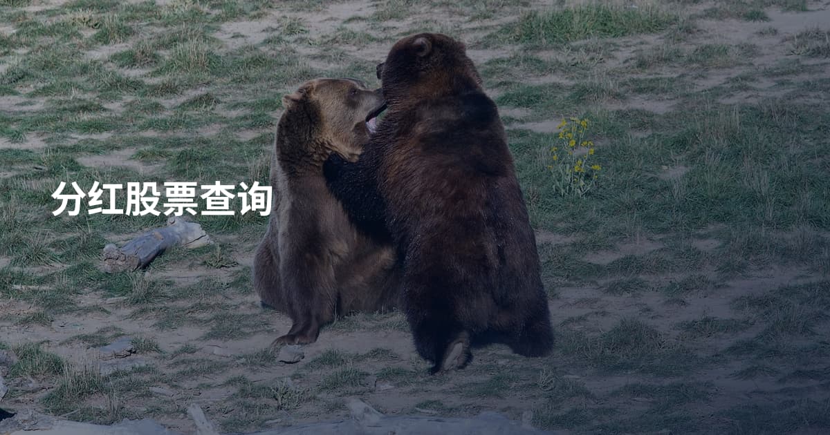 分红股票查询