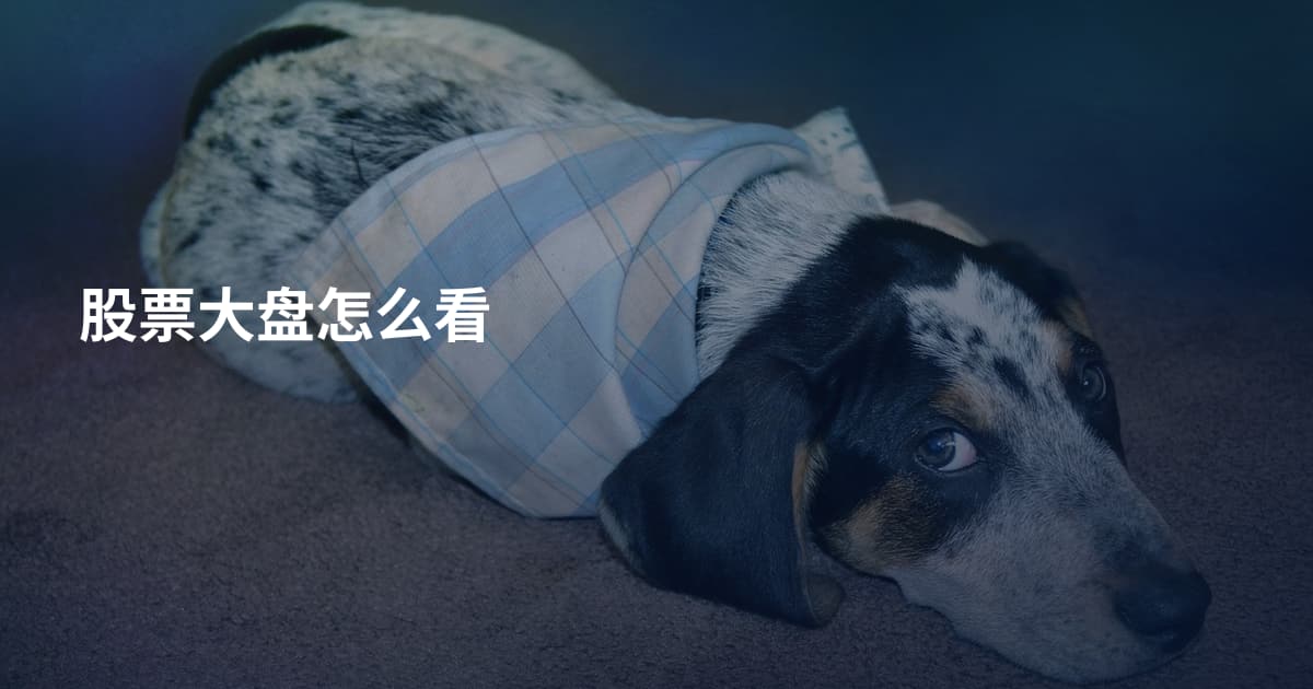 股票大盘怎么看