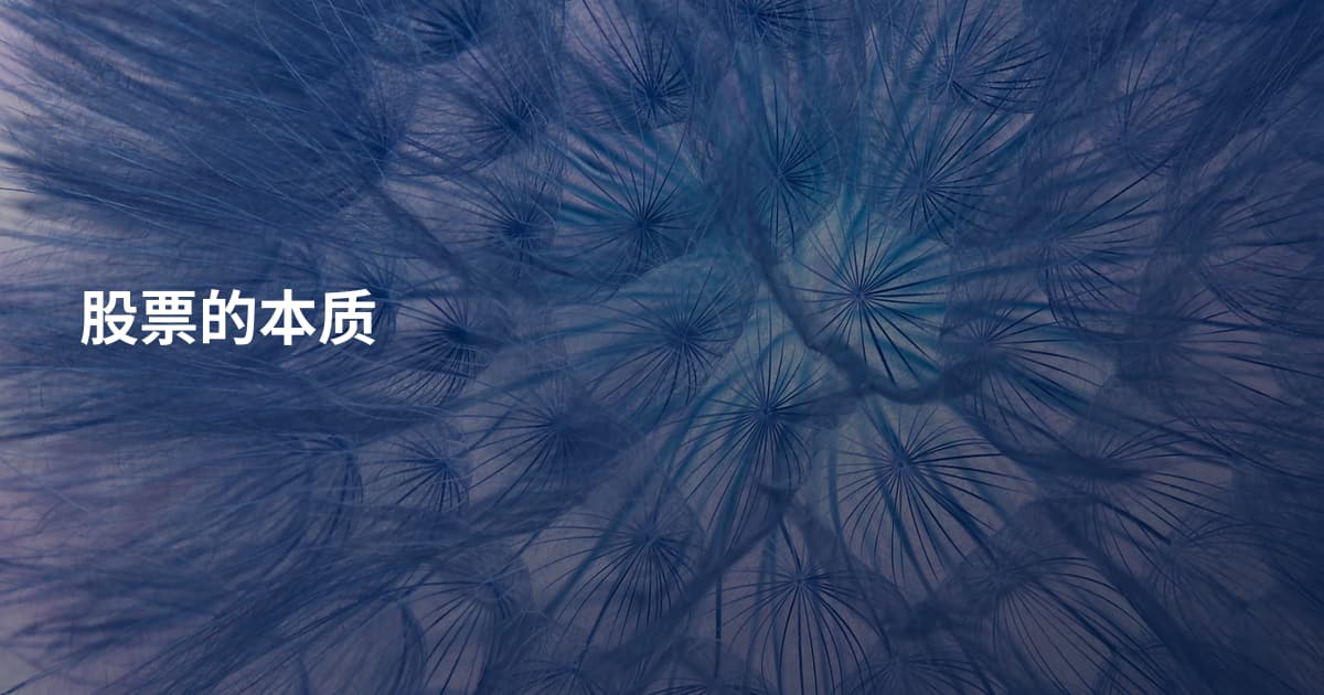 股票的本质