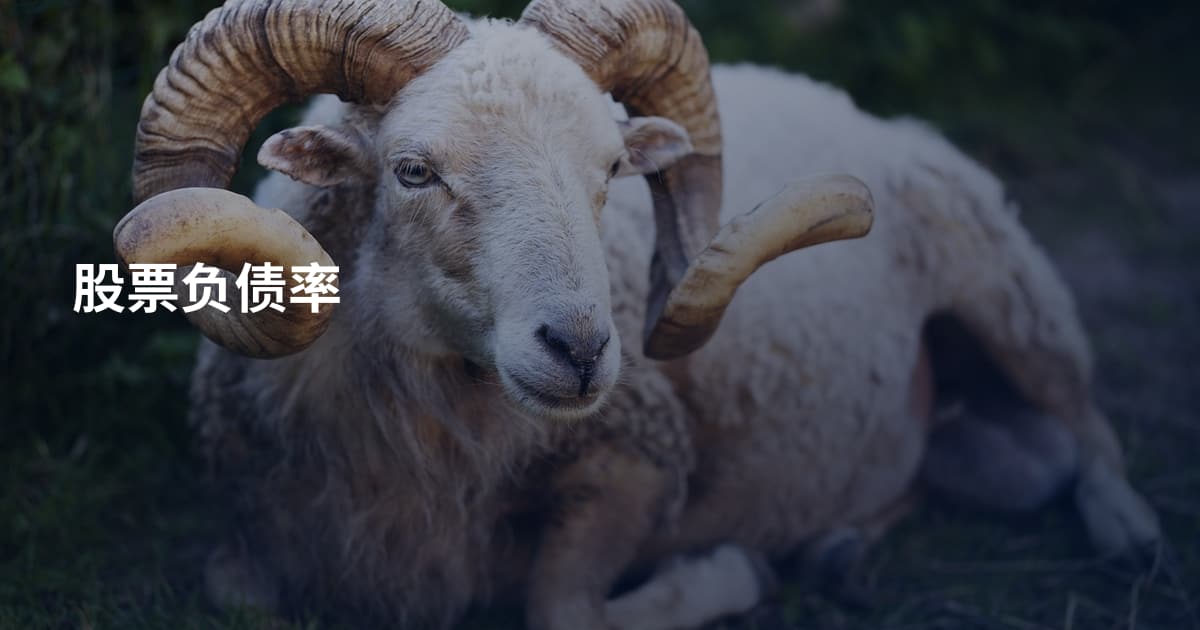 股票负债率