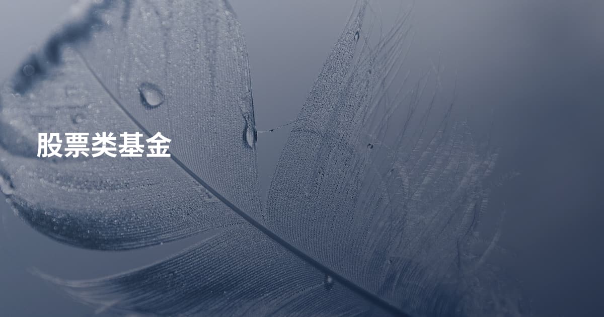 股票类基金