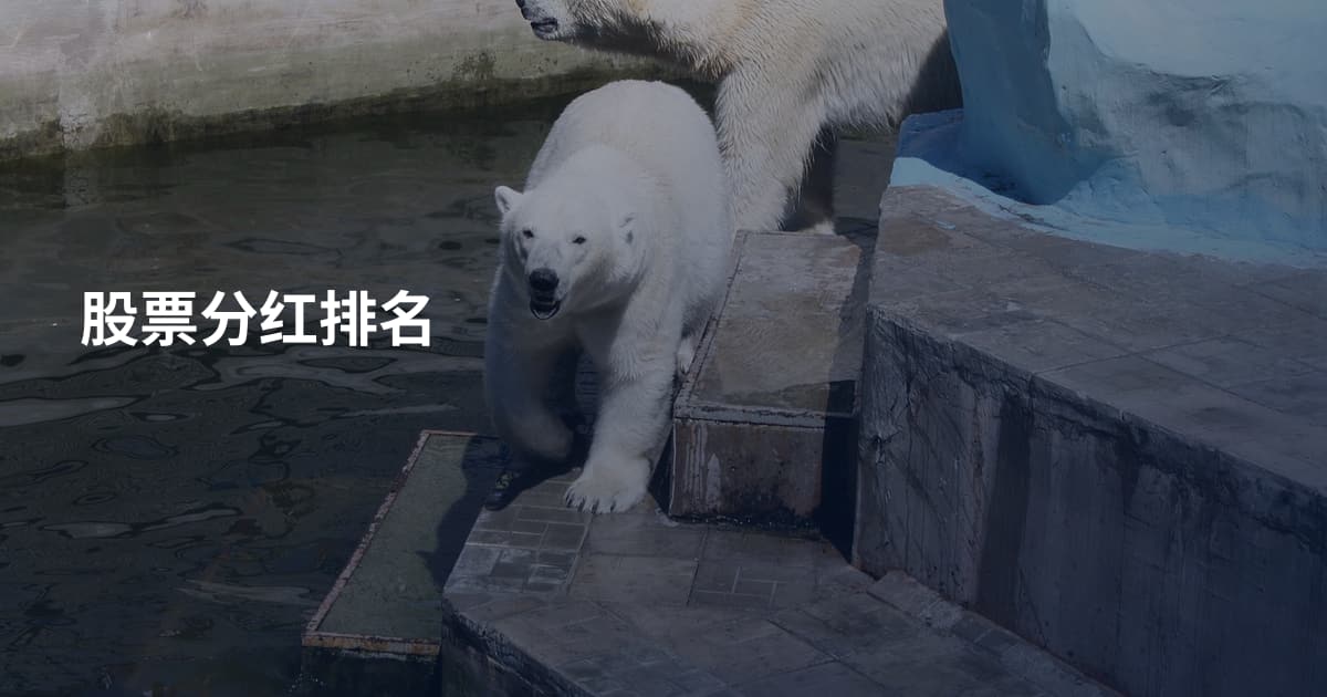 股票分红排名