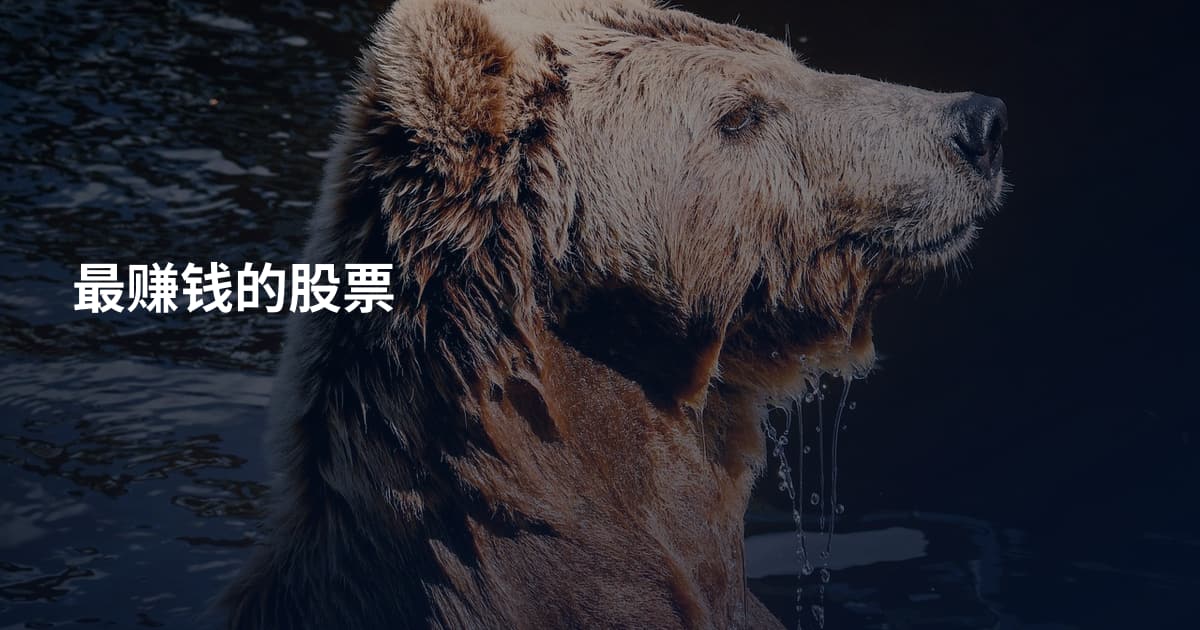 最赚钱的股票