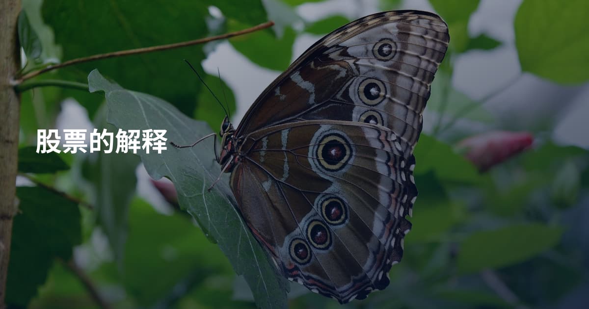 股票的解释