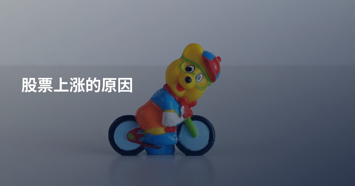 股票上涨的原因