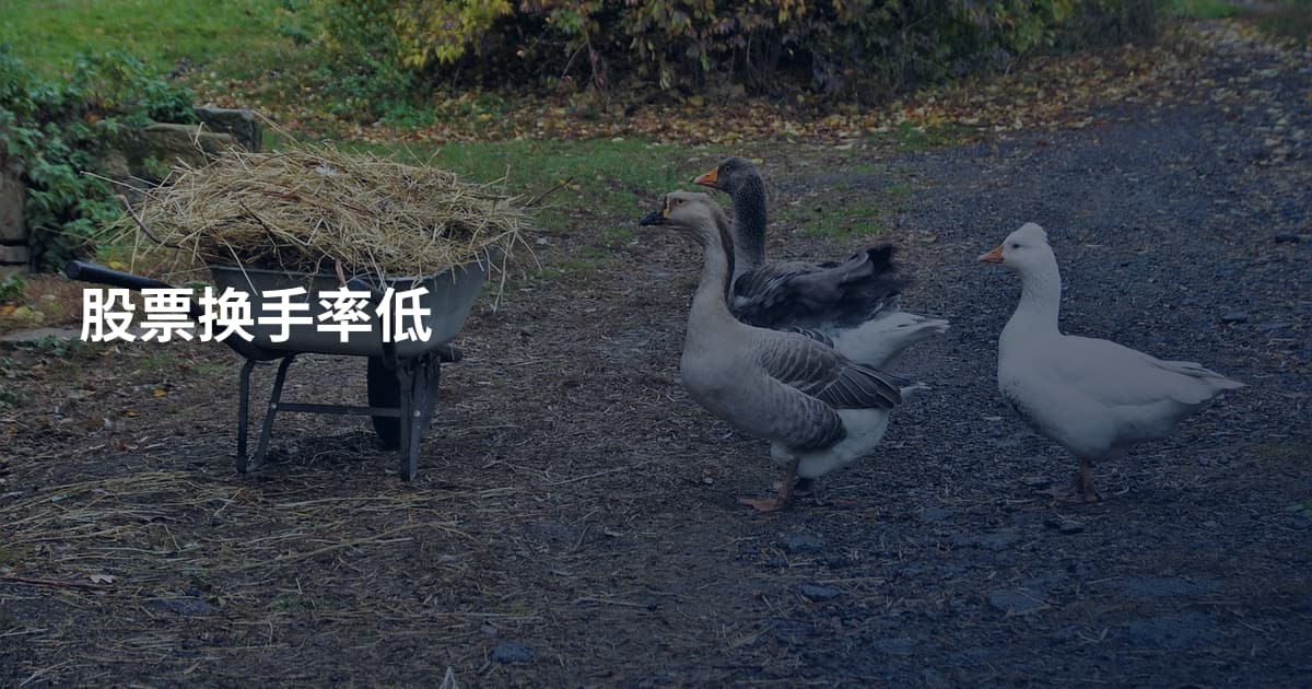 股票换手率低