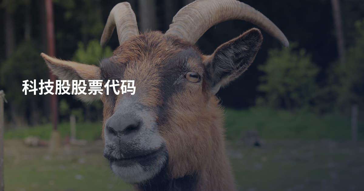 科技股股票代码