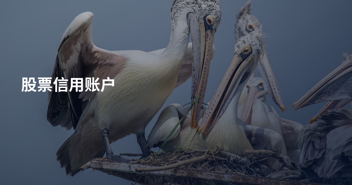 股票信用账户