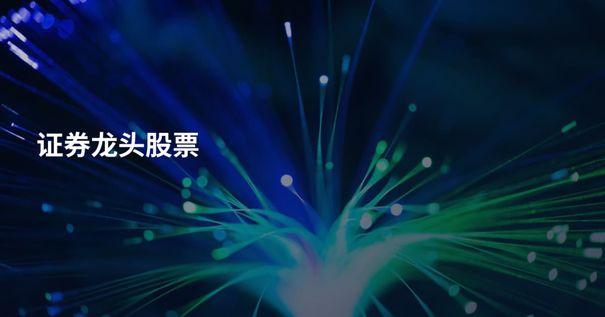 证券龙头股票