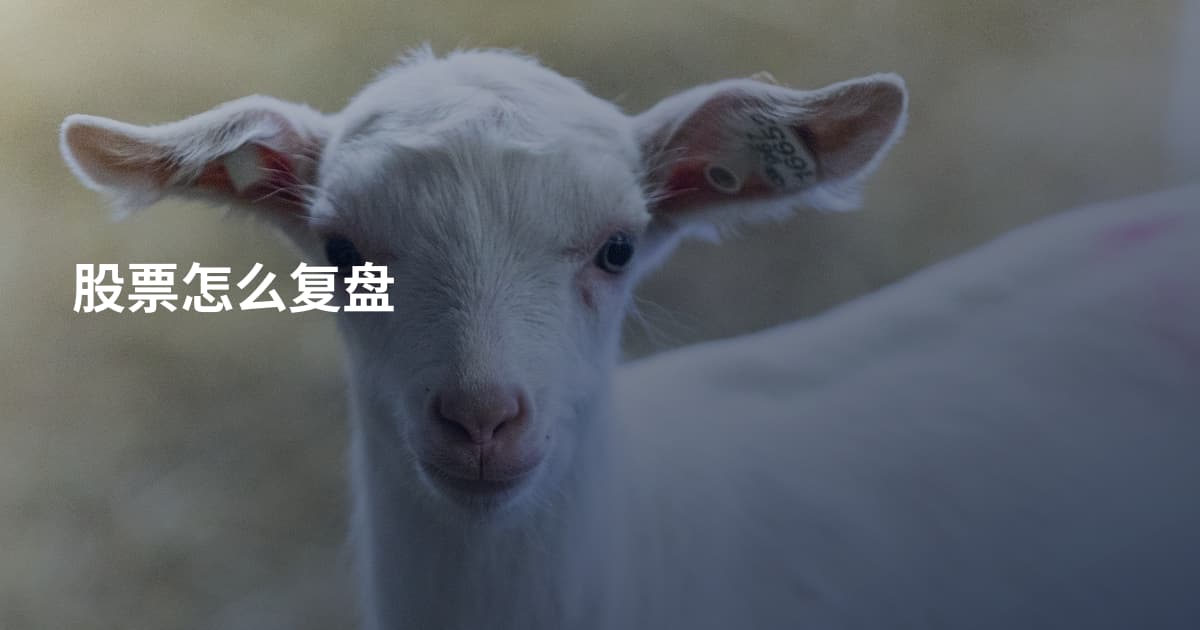 股票怎么复盘
